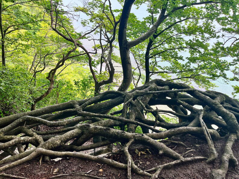 24-07-02 12-47-31 0110